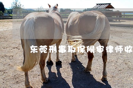 东莞刑事取保候审律师收费标准 东莞刑事取保候审律师收费标准