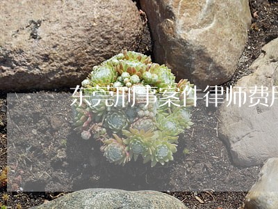 东莞刑事案件律师费用 东莞刑事案件律师费用