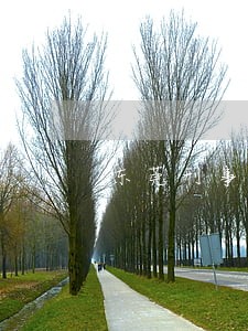 东莞刑事犯罪辩护在线律师 东莞刑事犯罪辩护在线律师