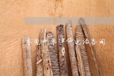 东莞刑案律师电话咨询 东莞刑案律师电话咨询