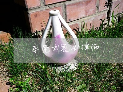 东莞刘冠钊律师 东莞刘冠钊律师