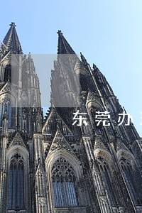 东莞办理婚姻律师排名