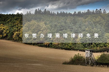 东莞办理离婚律师免费