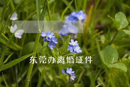 东莞办离婚证件 东莞办离婚证件
