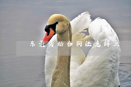 东莞劳动合同法急辞工 东莞劳动合同法急辞工