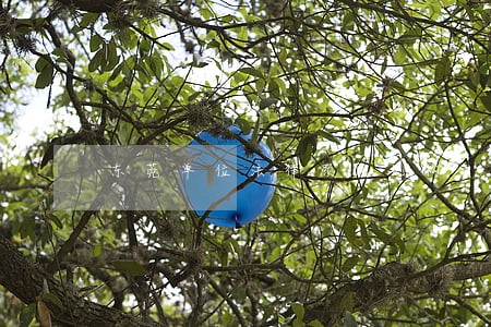 东莞单位法律顾问机构 东莞单位法律顾问机构