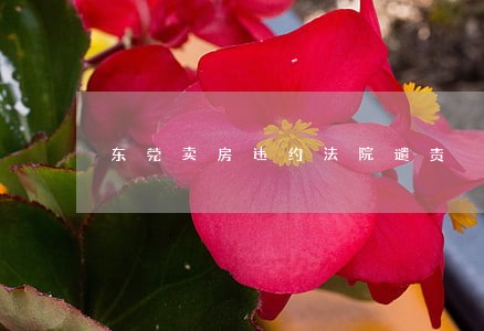 东莞卖房违约法院谴责 东莞卖房违约法院谴责