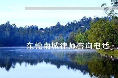 东莞南城律师咨询电话 东莞南城律师咨询电话