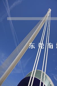 东莞南城房产纠纷律师咨询 东莞南城房产纠纷律师咨询