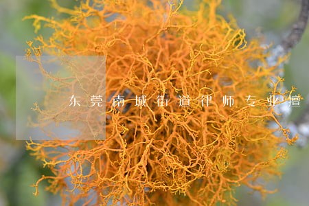 东莞南城街道律师专业擅长推荐 东莞南城街道律师专业擅长推荐