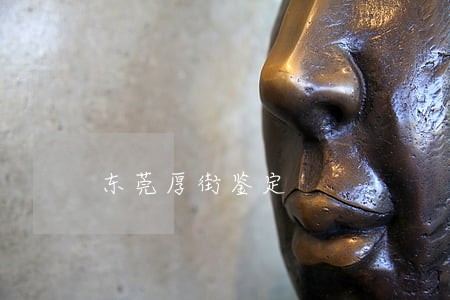 东莞厚街鉴定 东莞厚街鉴定