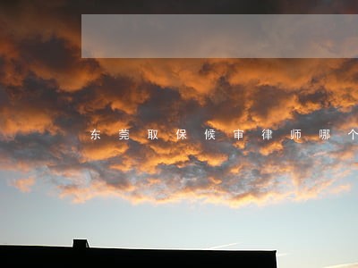东莞取保候审律师哪个名气大