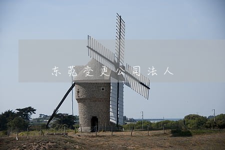 东莞变更公司法人 东莞变更公司法人