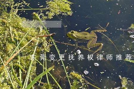 东莞变更抚养权律师推荐 东莞变更抚养权律师推荐