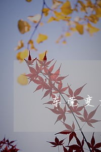 东莞变更抚养权律师网 东莞变更抚养权律师网