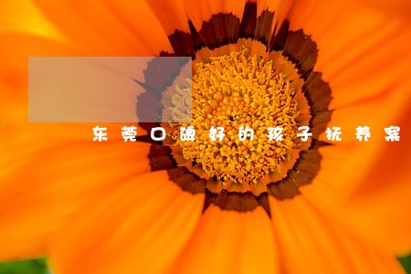 东莞口碑好的孩子抚养案律师 东莞口碑好的孩子抚养案律师