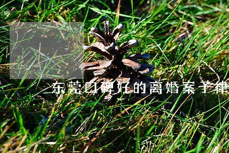 东莞口碑好的离婚案子律师