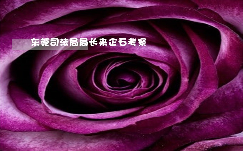 东莞司法局局长来企石考察 东莞司法局局长来企石考察