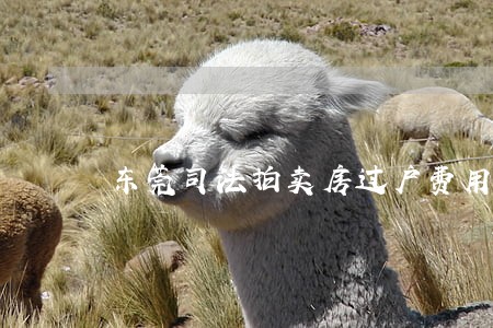 东莞司法拍卖房过户费用