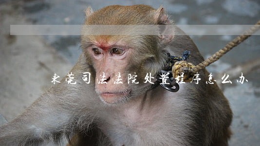 东莞司法法院处置程序怎么办 东莞司法法院处置程序怎么办
