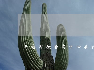 东莞司法鉴定中心在什么地方 东莞司法鉴定中心在什么地方