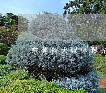 东莞各大媒体曝光电话 东莞各大媒体曝光电话