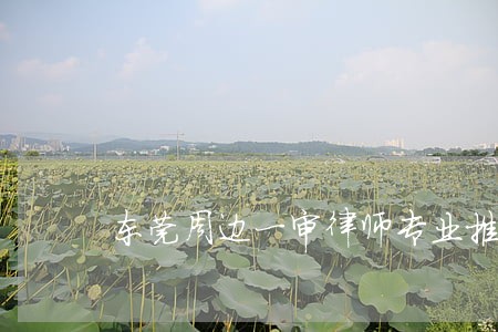 东莞周边一审律师专业推荐 东莞周边一审律师专业推荐