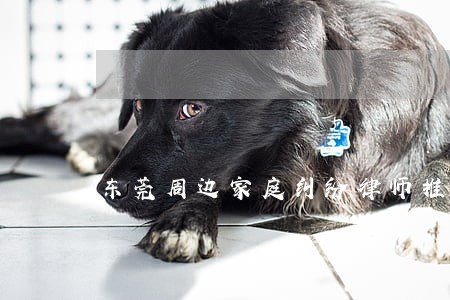 东莞周边家庭纠纷律师推荐 东莞周边家庭纠纷律师推荐