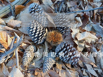 东莞周边房产继承律师微信咨询 东莞周边房产继承律师微信咨询