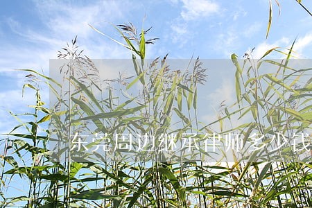 东莞周边继承律师多少钱