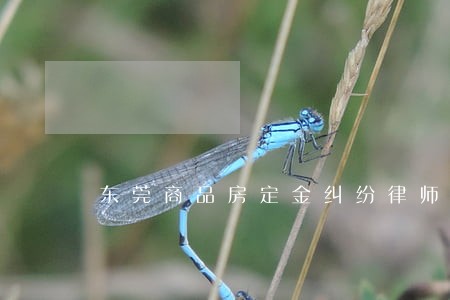 东莞商品房定金纠纷律师介绍 东莞商品房定金纠纷律师介绍
