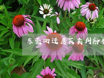 东莞回迁房买卖纠纷律师 东莞回迁房买卖纠纷律师