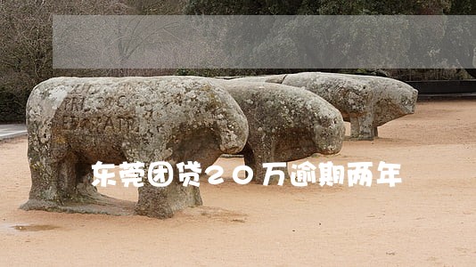 东莞团贷20万逾期两年 东莞团贷20万逾期两年