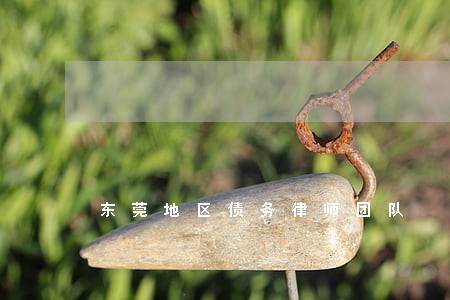 东莞地区债务律师团队 东莞地区债务律师团队