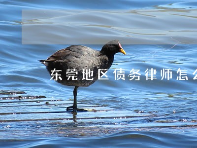 东莞地区债务律师怎么委托 东莞地区债务律师怎么委托
