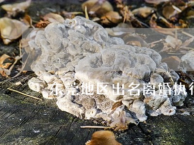 东莞地区出名离婚执行律师