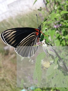 东莞地区办理债权债务律师排行 东莞地区办理债权债务律师排行