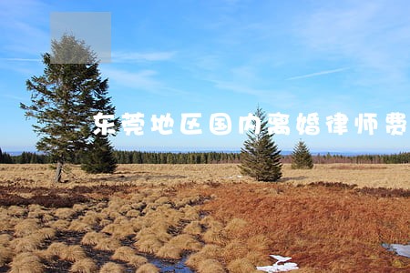 东莞地区国内离婚律师费用 东莞地区国内离婚律师费用