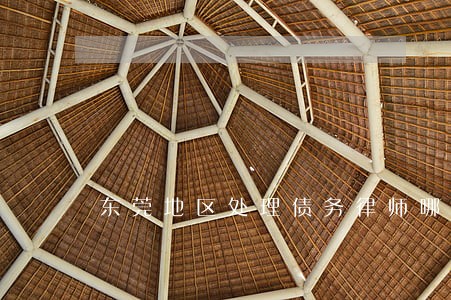 东莞地区处理债务律师哪个好 东莞地区处理债务律师哪个好