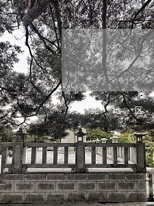 东莞地区处理债务律师排行 东莞地区处理债务律师排行