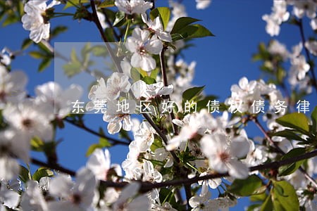 东莞地区好的债权债务律师排行 东莞地区好的债权债务律师排行