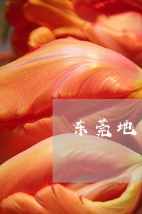 东莞地区委托债务律师电话多少 东莞地区委托债务律师电话多少