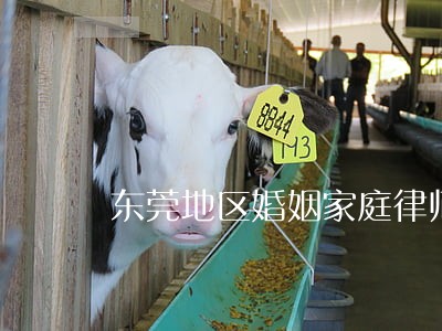东莞地区婚姻家庭律师排名 东莞地区婚姻家庭律师排名