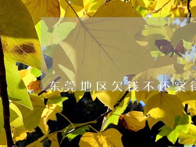 东莞地区欠钱不还案律师委托咨询