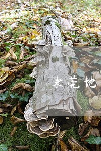 东莞地区经济纠纷律师在线咨询 东莞地区经济纠纷律师在线咨询
