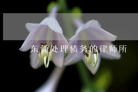 东莞处理债务的律师所 东莞处理债务的律师所