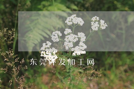 东莞外发加工网 东莞外发加工网