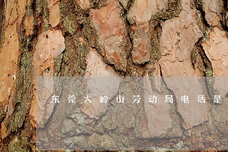 东莞大岭山劳动局电话是多少