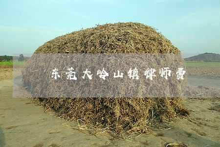 东莞大岭山镇律师费