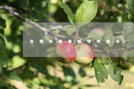 东莞夫妻离婚律师咨询 东莞夫妻离婚律师咨询